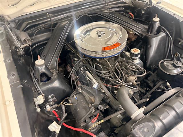 1964 Ford Falcon (CC-2086585) for sale in Annandale, Minnesota