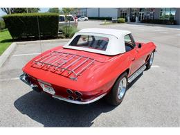 1967 Chevrolet Corvette (CC-2086587) for sale in Sarasota, Florida