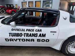 1981 Pontiac Firebird Trans Am (CC-2086605) for sale in Salem, Ohio