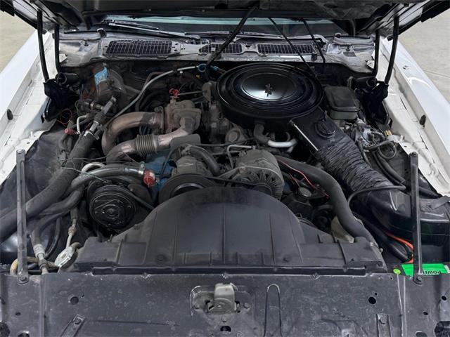 1981 Pontiac Firebird Trans Am (CC-2086605) for sale in Salem, Ohio