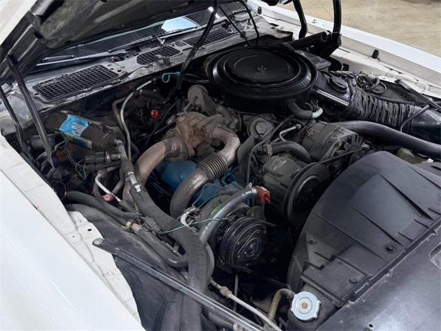 1981 Pontiac Firebird Trans Am (CC-2086605) for sale in Salem, Ohio