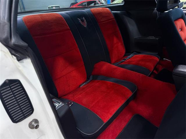 1981 Pontiac Firebird Trans Am (CC-2086605) for sale in Salem, Ohio