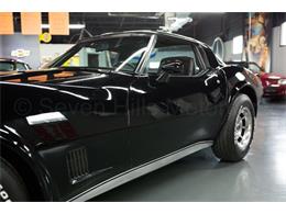 1981 Chevrolet Corvette (CC-2086629) for sale in Cincinnati, Ohio