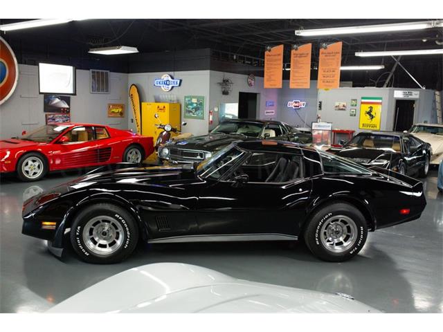 1981 Chevrolet Corvette (CC-2086629) for sale in Cincinnati, Ohio