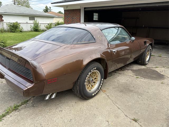1979 Pontiac Firebird Trans Am (CC-2086652) for sale in Linden, Michigan