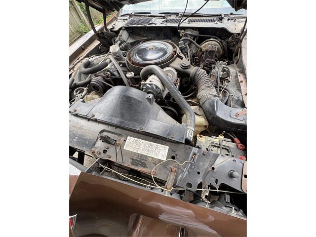 1979 Pontiac Firebird Trans Am (CC-2086652) for sale in Linden, Michigan