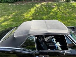 1967 Pontiac Firebird (CC-2086668) for sale in Clarksburg, Maryland