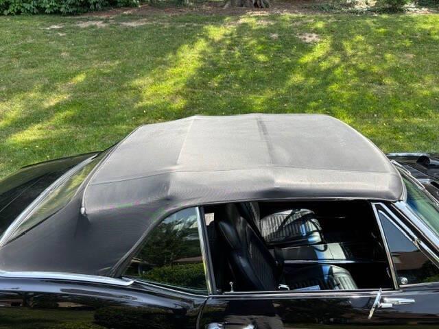 1967 Pontiac Firebird (CC-2086668) for sale in Clarksburg, Maryland