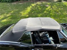 1967 Pontiac Firebird (CC-2086668) for sale in Clarksburg, Maryland