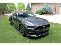 2017 Ford Mustang (CC-2086673) for sale in Greeley, Colorado