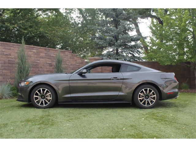 2017 Ford Mustang (CC-2086673) for sale in Greeley, Colorado