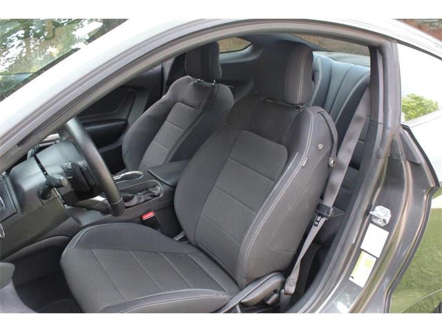 2017 Ford Mustang (CC-2086673) for sale in Greeley, Colorado