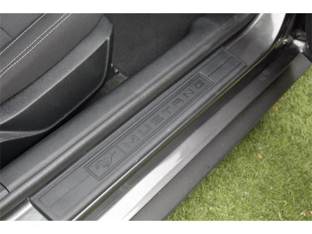 2017 Ford Mustang (CC-2086673) for sale in Greeley, Colorado