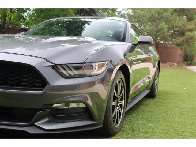 2017 Ford Mustang (CC-2086673) for sale in Greeley, Colorado