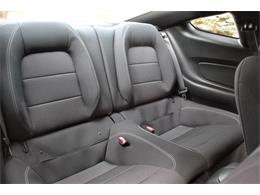 2017 Ford Mustang (CC-2086673) for sale in Greeley, Colorado