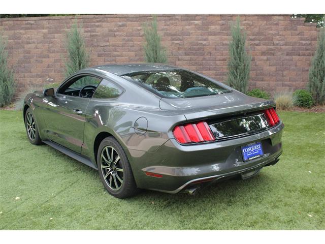 2017 Ford Mustang (CC-2086673) for sale in Greeley, Colorado
