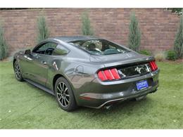 2017 Ford Mustang (CC-2086673) for sale in Greeley, Colorado