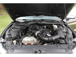 2017 Ford Mustang (CC-2086673) for sale in Greeley, Colorado
