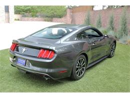 2017 Ford Mustang (CC-2086673) for sale in Greeley, Colorado