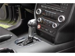 2017 Ford Mustang (CC-2086673) for sale in Greeley, Colorado