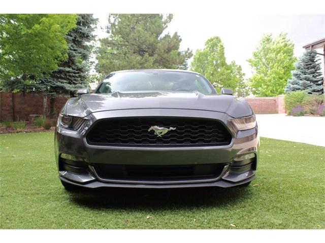 2017 Ford Mustang (CC-2086673) for sale in Greeley, Colorado