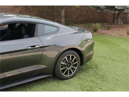 2017 Ford Mustang (CC-2086673) for sale in Greeley, Colorado