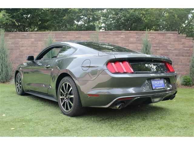2017 Ford Mustang (CC-2086673) for sale in Greeley, Colorado
