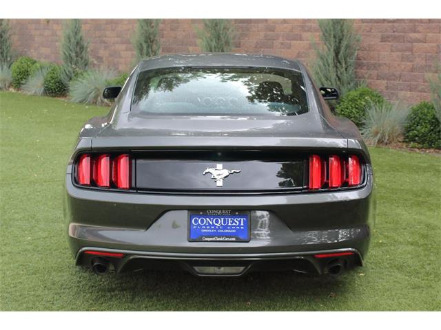 2017 Ford Mustang (CC-2086673) for sale in Greeley, Colorado