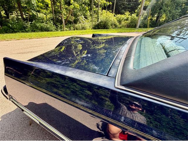 1979 Lincoln Continental Mark V (CC-2086697) for sale in Saugatuck, Michigan