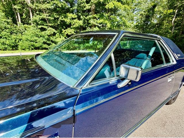 1979 Lincoln Continental Mark V (CC-2086697) for sale in Saugatuck, Michigan