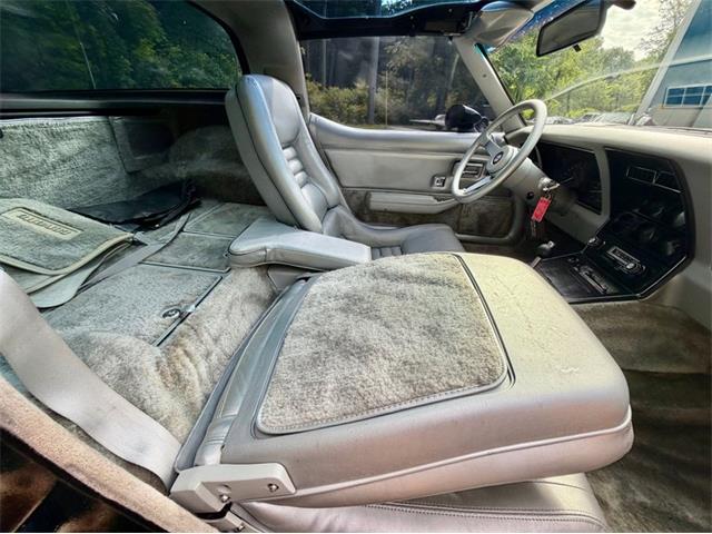 1978 Chevrolet Corvette (CC-2086701) for sale in Saugatuck, Michigan