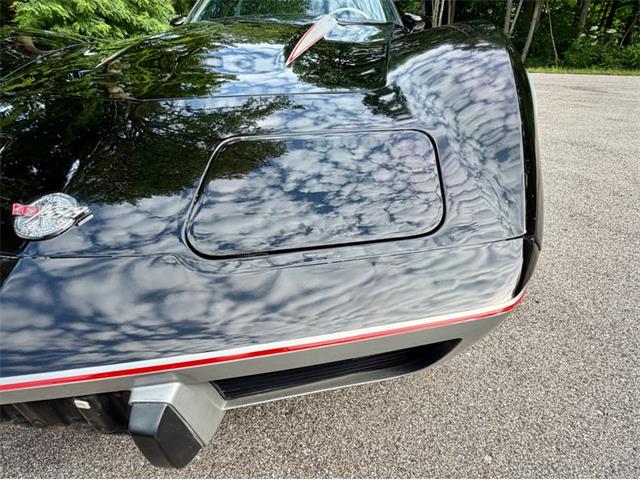 1978 Chevrolet Corvette (CC-2086701) for sale in Saugatuck, Michigan