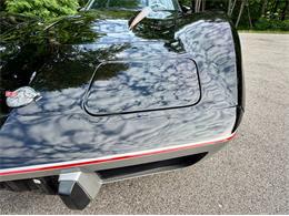 1978 Chevrolet Corvette (CC-2086701) for sale in Saugatuck, Michigan