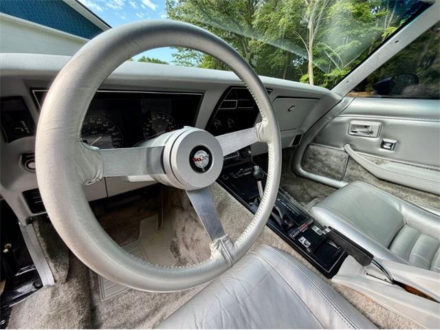 1978 Chevrolet Corvette (CC-2086701) for sale in Saugatuck, Michigan