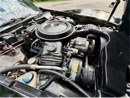 1978 Chevrolet Corvette (CC-2086701) for sale in Saugatuck, Michigan