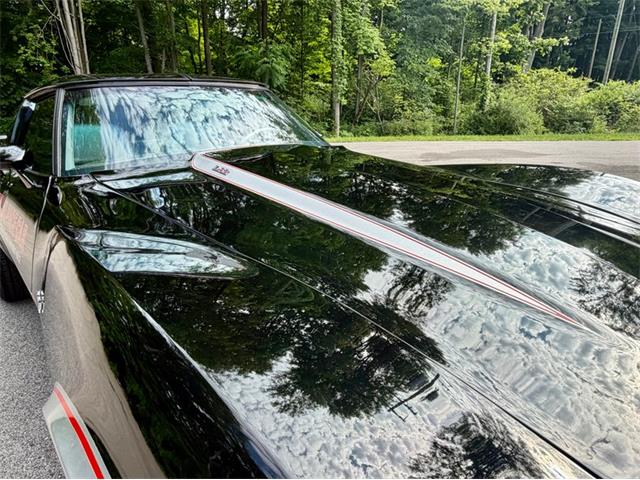 1978 Chevrolet Corvette (CC-2086701) for sale in Saugatuck, Michigan