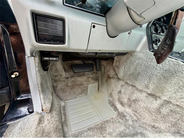1978 Chevrolet Corvette (CC-2086701) for sale in Saugatuck, Michigan