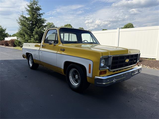 1979 Chevrolet C10 (CC-2086744) for sale in Mill Hall, Pennsylvania