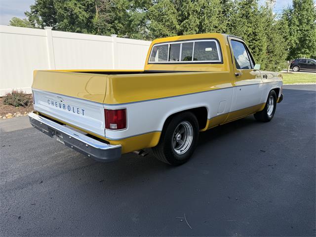 1979 Chevrolet C10 (CC-2086744) for sale in Mill Hall, Pennsylvania
