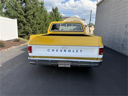 1979 Chevrolet C10 (CC-2086744) for sale in Mill Hall, Pennsylvania