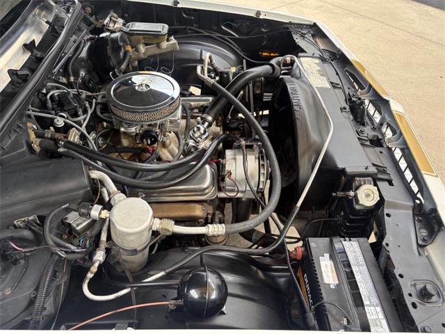 1984 GMC Caballero (CC-2086875) for sale in Bradenton, Florida