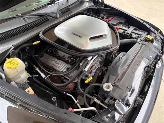 1999 Dodge Dakota (CC-2086876) for sale in Bradenton, Florida