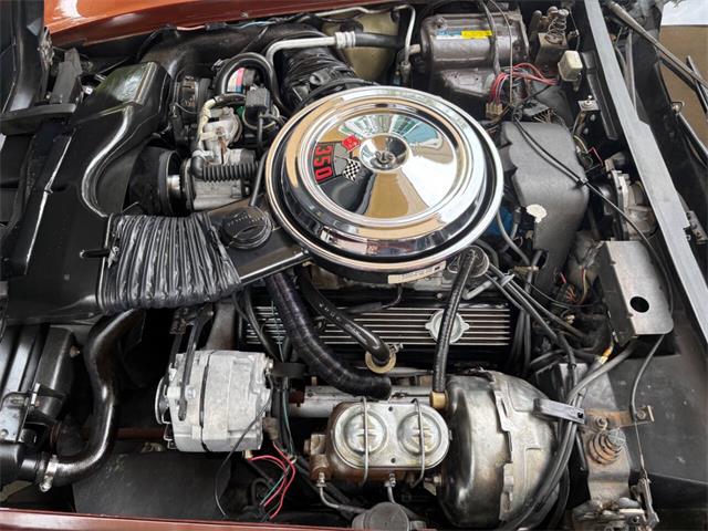 1981 Chevrolet Corvette (CC-2086880) for sale in Bradenton, Florida