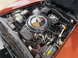 1981 Chevrolet Corvette (CC-2086880) for sale in Bradenton, Florida