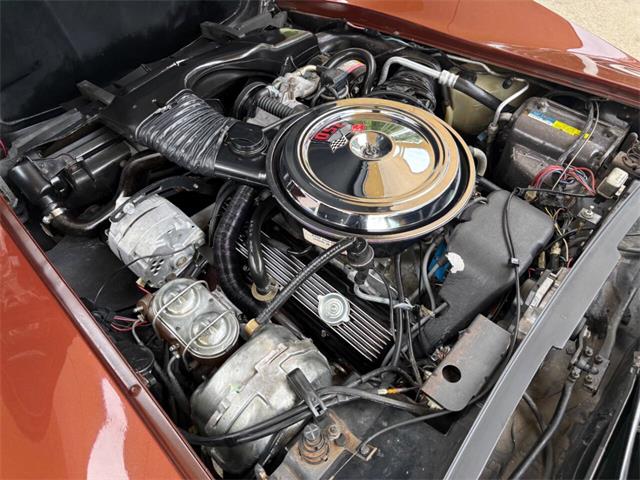1981 Chevrolet Corvette (CC-2086880) for sale in Bradenton, Florida
