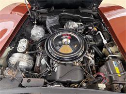 1981 Chevrolet Corvette (CC-2086880) for sale in Bradenton, Florida