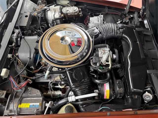 1981 Chevrolet Corvette (CC-2086880) for sale in Bradenton, Florida