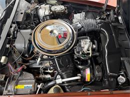 1981 Chevrolet Corvette (CC-2086880) for sale in Bradenton, Florida