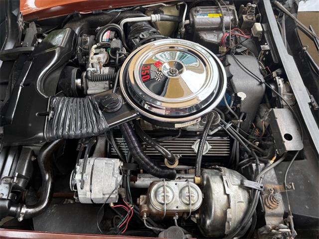 1981 Chevrolet Corvette (CC-2086880) for sale in Bradenton, Florida