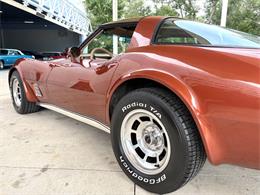 1981 Chevrolet Corvette (CC-2086880) for sale in Bradenton, Florida